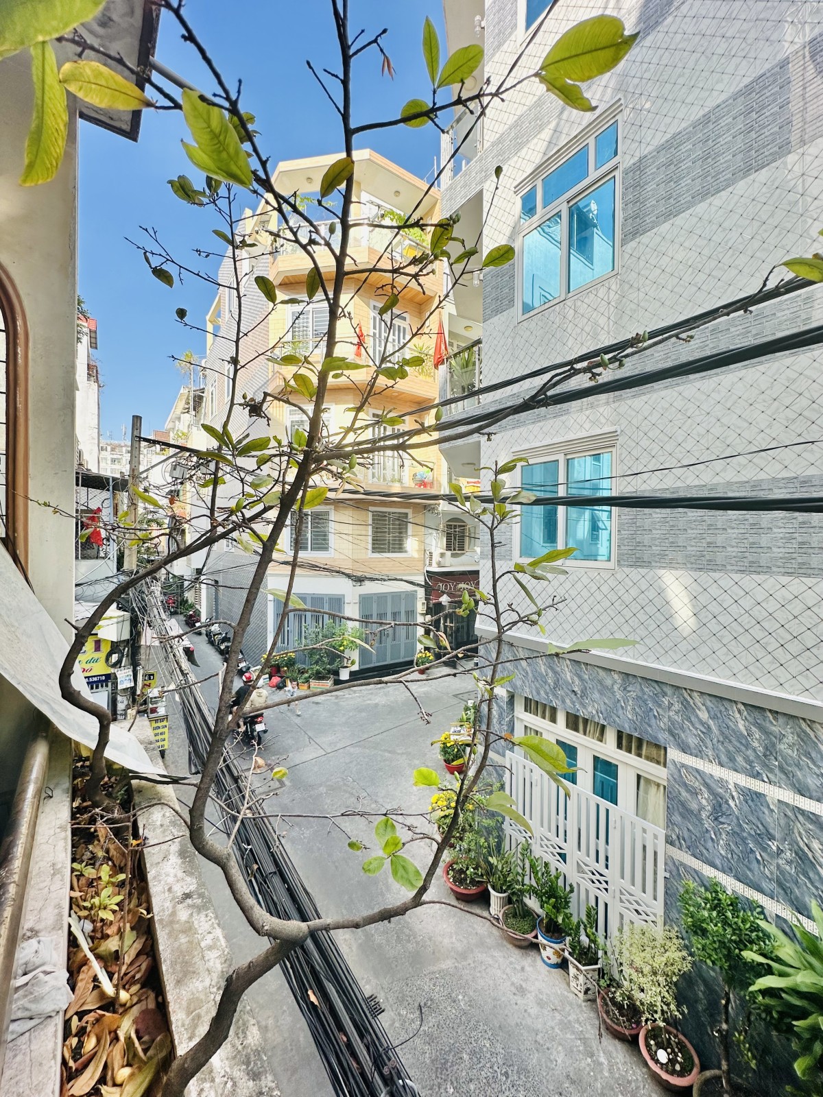 Bán nhà đường Nguyễn Ngọc Lộc, Quận 10 - ảnh 4