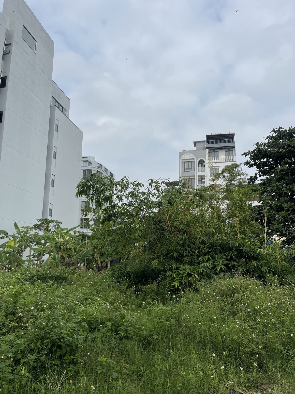 VÕ NGUYÊN GIÁP 145m², ĐẤT, ngang 5m, dài 29m, giá 35 tỷ, Ngũ Hành Sơn