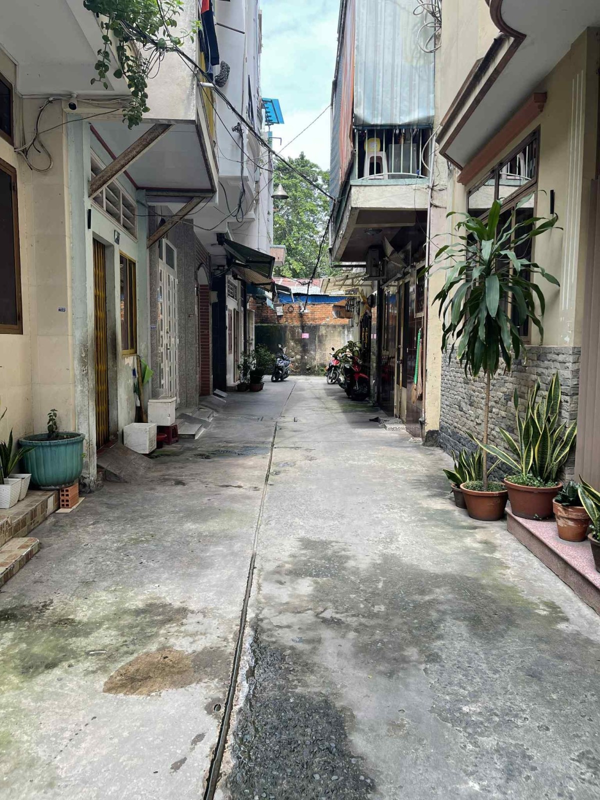 Bán nhà đường - 24 125.224 Trần Bình Trọng, Quận 5 - ảnh 3