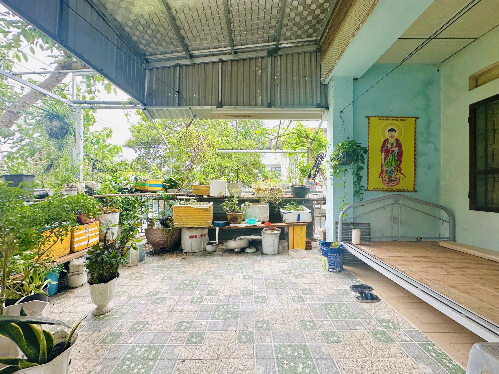 PHÓ ĐỨC CHÍNH 115m², cấp 4, ngang 6m, dài 19m, giá 14.9 tỷ, Sơn Trà