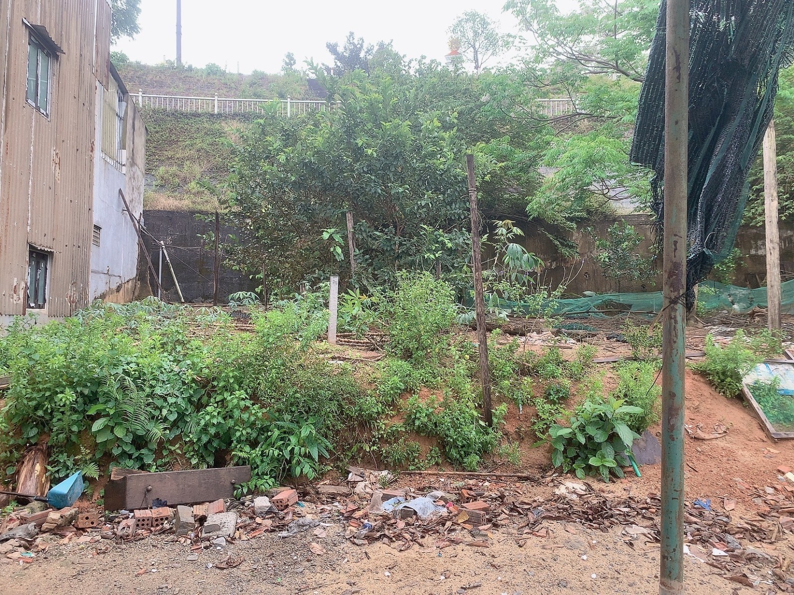 TÔN ĐẢN 85m², ĐẤT, ngang 4.05m, dài 21m, giá 2.65 tỷ, Cẩm Lệ