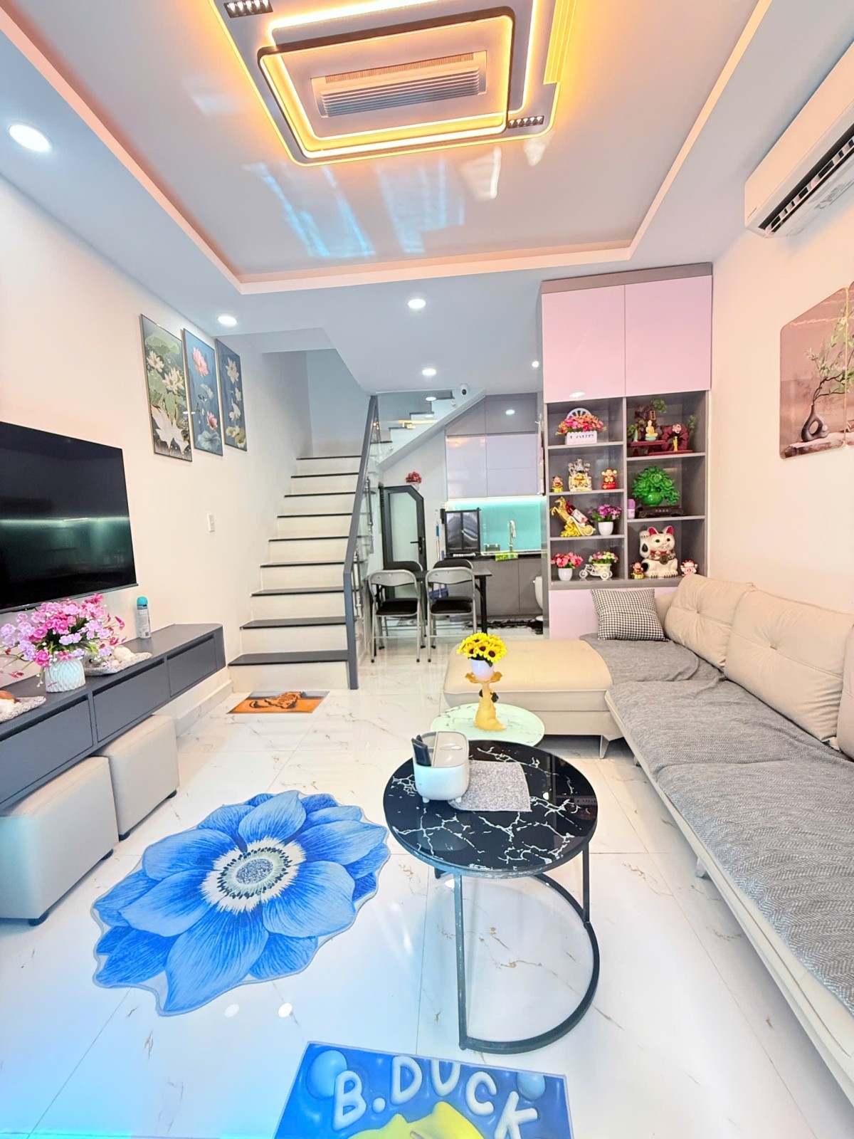 Bán nhà đường Trần Khắc Chân, Quận 1 - ảnh 4