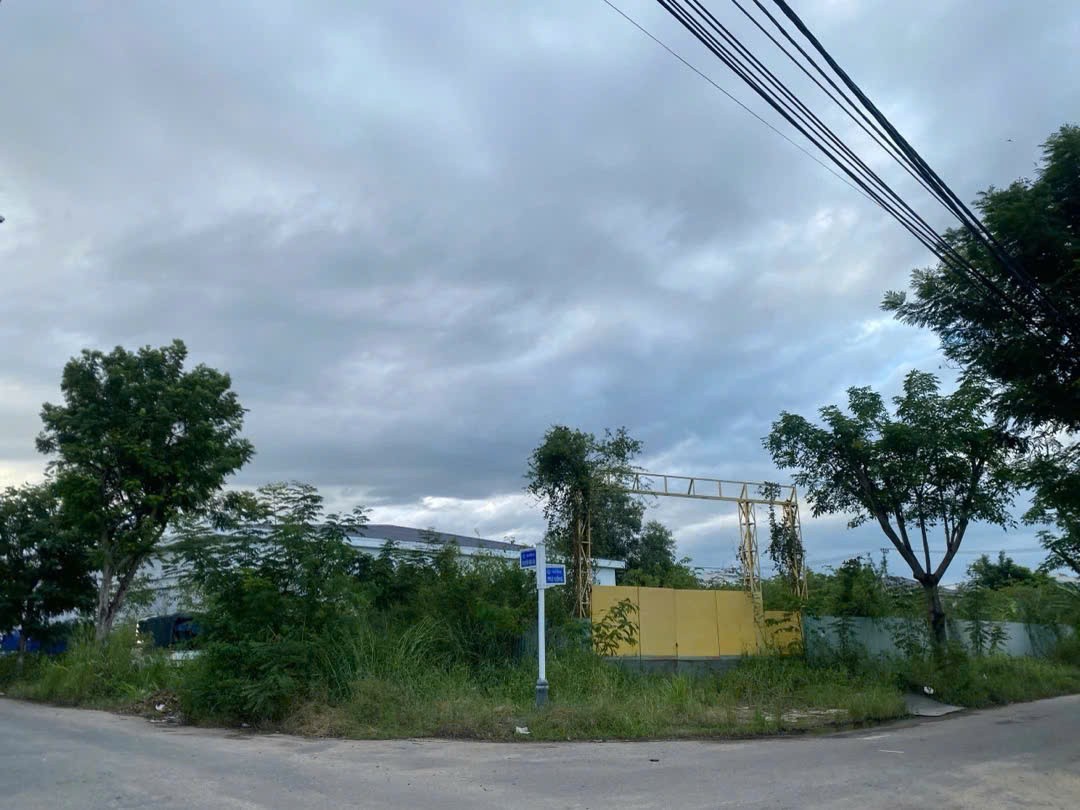 (THỬA 125 TỜ 189) PHẠM HÙNG 9028.7m², cấp 4, ngang 86m, dài 101m, giá 217 tỷ, Hoà Xuân tỷ phú