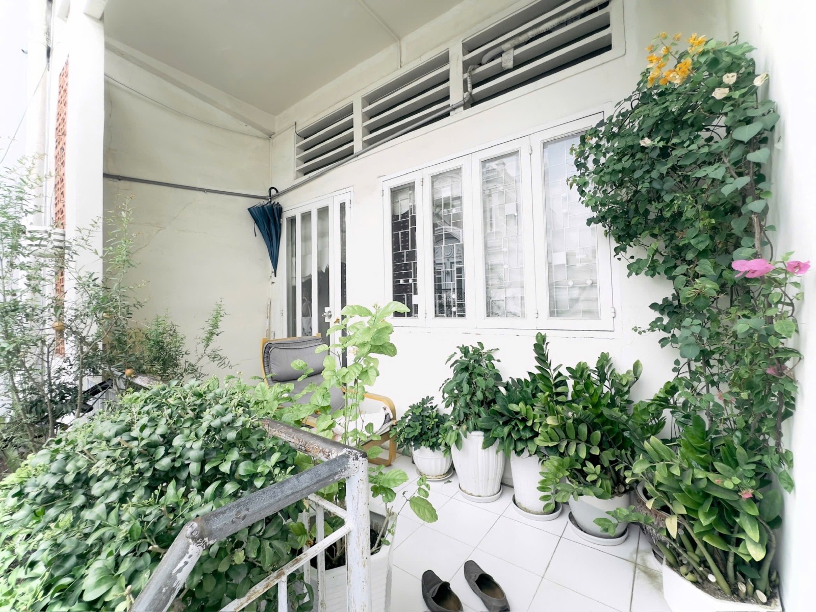 Bán nhà đường Nguyễn Trọng Tuyển, Tân Bình - ảnh 2