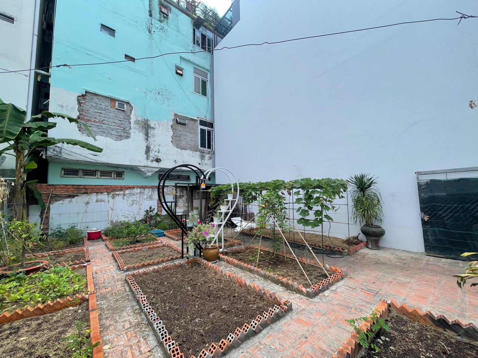 Bán nhà đường Bạch Đằng, Tân Bình - ảnh 4
